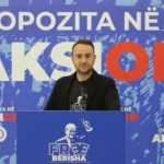 Tetori rozë/ Berisha: Si rrallë në ndonjë vend në botë nënat, motrat, gratë në Shqipëri që sulmohen nga sëmundja janë më fatkëqija se kudo tjetër